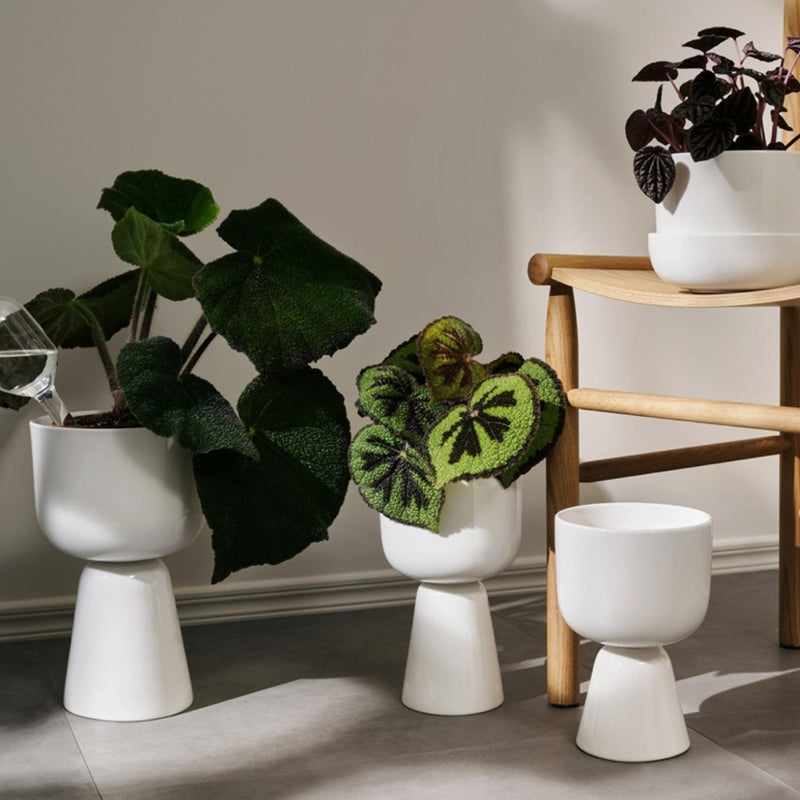 plant pot nebl Iittala NAPPULA Plant Pot in White, Brown, Dark Green and Beige Colors