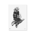 Teemu Järvi EAGLE art print (20x28)