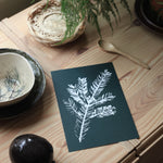 Teemu Järvi SPRUCE BRANCH Art Card Inspiration forest green