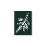 Teemu Järvi SPRUCE BRANCH Art Card Set forest green