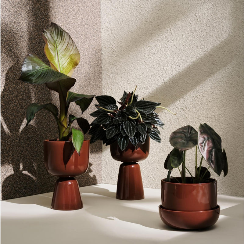 Iittala Ceramic NAPPULA Plant Pot Collecion in warm brown color