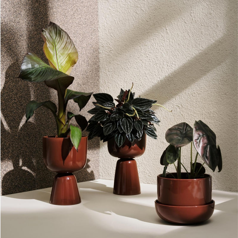 nappula plant pot Iittala Nappula Plant Pot