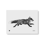 Teemu Järvi ADVENTUROUS FOX print (16" x 12") black and white