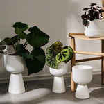 Iittala NAPPULA Plant Pot collection in white color