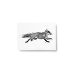 Teemu Järvi FOREST GREETINGS Single Animal Post Card (4 x 6) Adventurous Fox