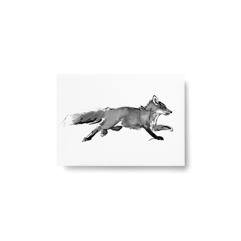 Teemu Järvi FOREST GREETINGS Single Animal Post Card (4 x 6) Adventurous Fox