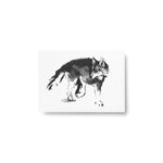 Teemu Järvi FOREST GREETINGS Single Animal Post Card (4 x 6) Wolf