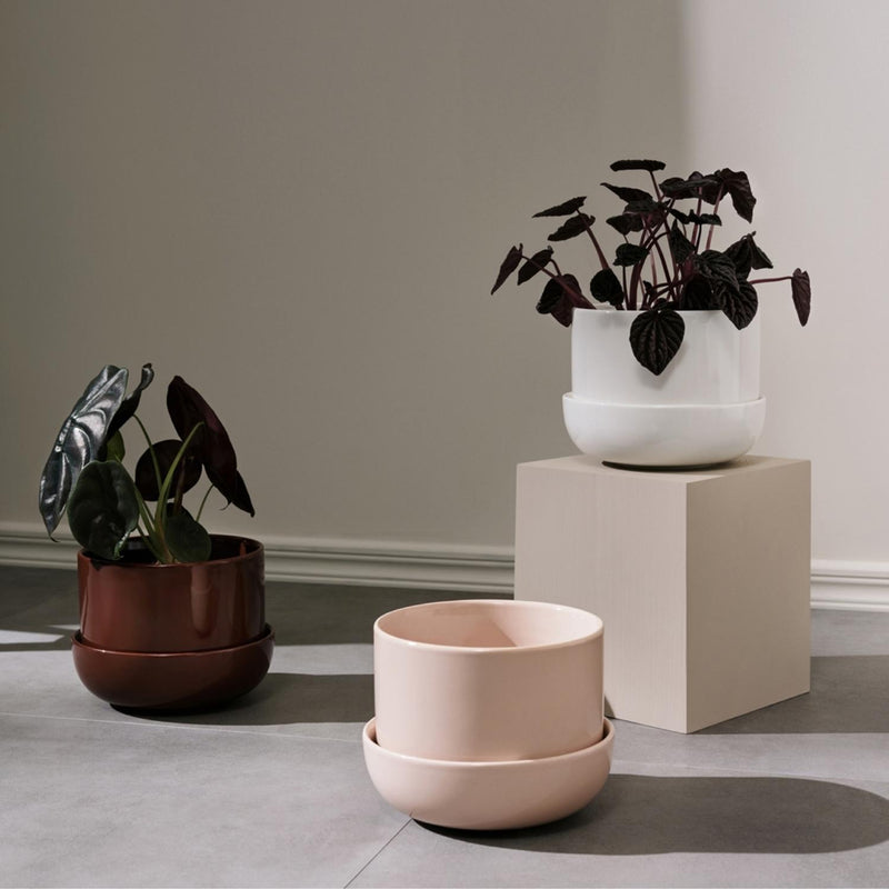 Iittala NAPPULA plant pots in beige, white and brown colors 