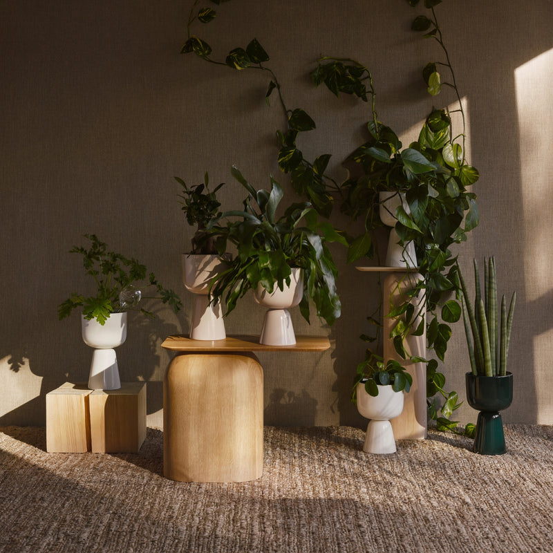 iittala plant pot Iittala NAPPULA Plant Pot in White, Brown, Dark Green and Beige Colors
