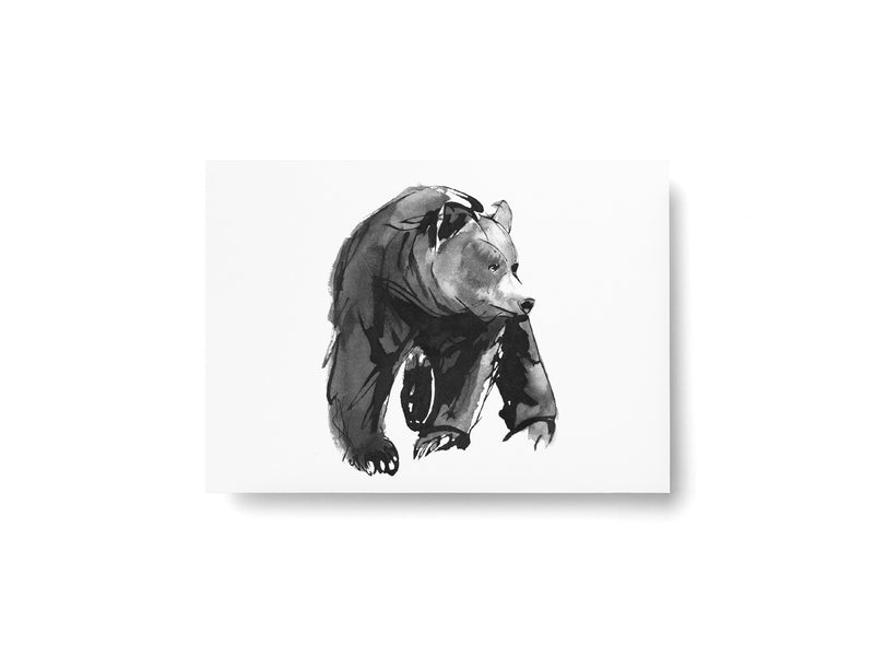 Teemu Järvi ARCTIC GREETINGS Set of 6 Animal Post Cards (4 x 6) Bear