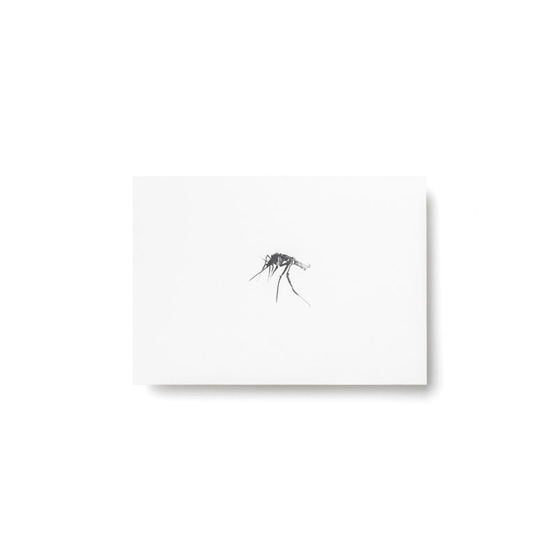 Teemu Järvi ARCTIC GREETINGS Set of 6 Animal Post Cards (4 x 6) Mosquito