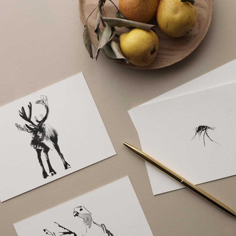Teemu Järvi ARCTIC GREETINGS Set of 6 Animal Post Cards (4 x 6)