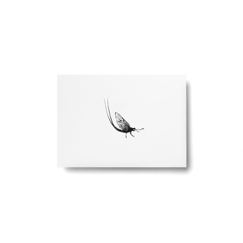 Teemu Järvi FOREST GREETINGS Single Animal Post Card (4 x 6) Mayfly