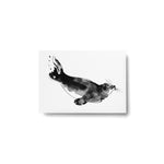 Teemu Järvi FOREST GREETINGS Single Animal Post Card (4 x 6) Ringed Seal