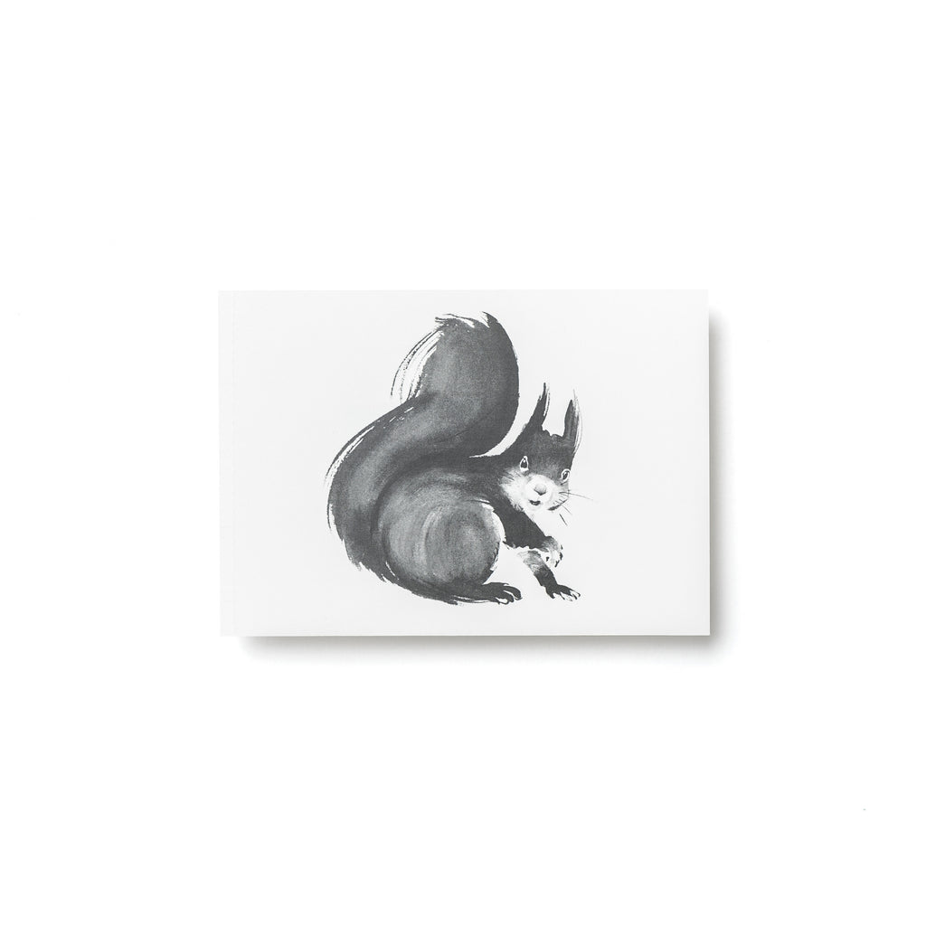Teemu Järvi FOREST GREETINGS Single Animal Post Card (4 x 6) Squirrel