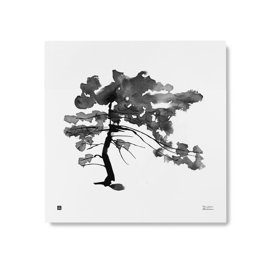 Teemu Järvi PINE TREE print (20"x 20")