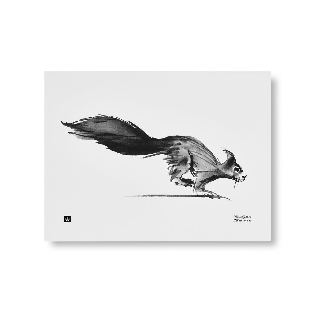 Teemu Järvi SQUIRREL print (16"x12")